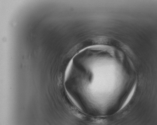 X0000080110073200612221815