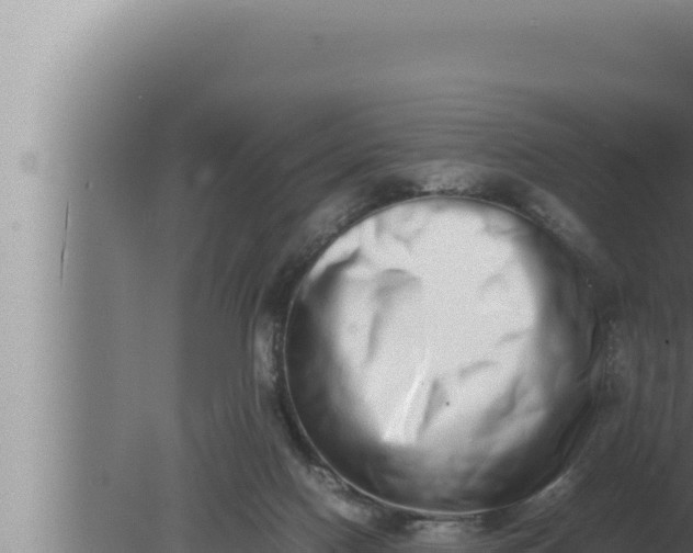 X0000080110074200612221815