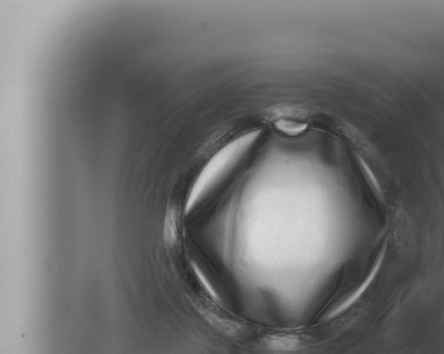 X0000080110075200612221815