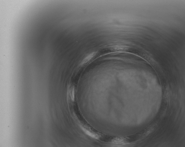 X0000080110076200612221815