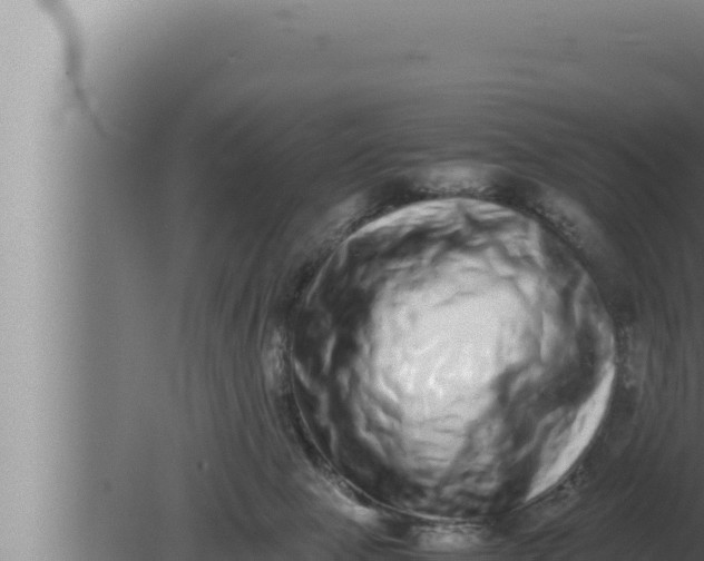 X0000080110077200612221816