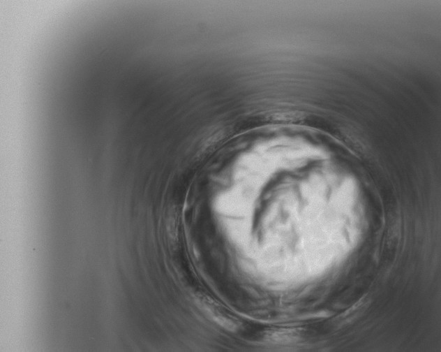 X0000080110078200612221816