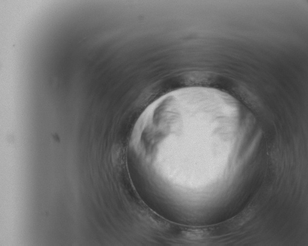 X0000080110079200612221816