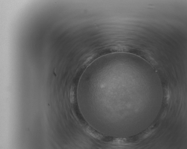 X0000080110080200612221816