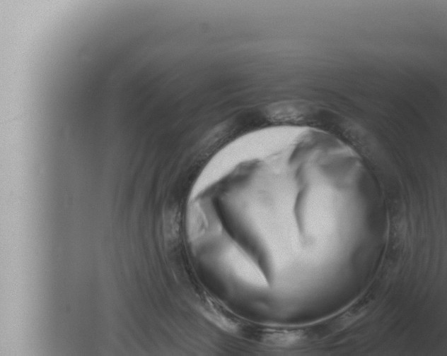 X0000080110081200612221816