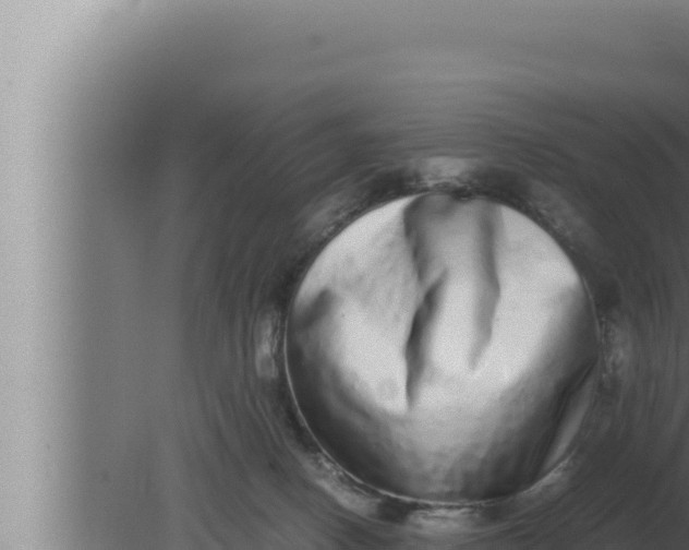 X0000080110082200612221816