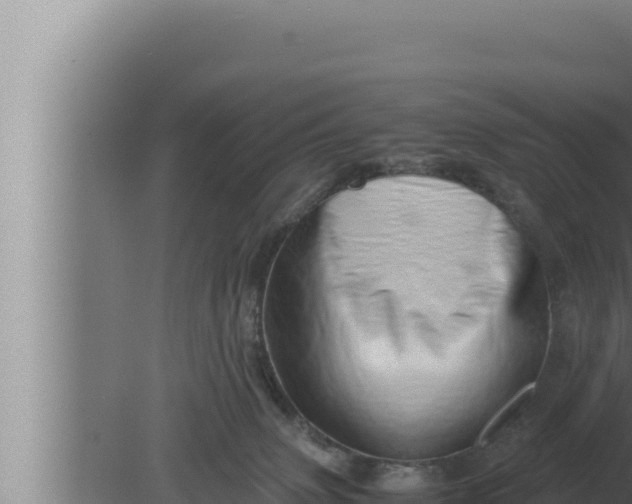 X0000080110083200612221816