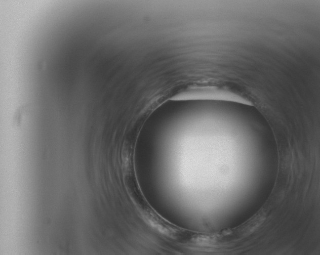 X0000080110084200612221816