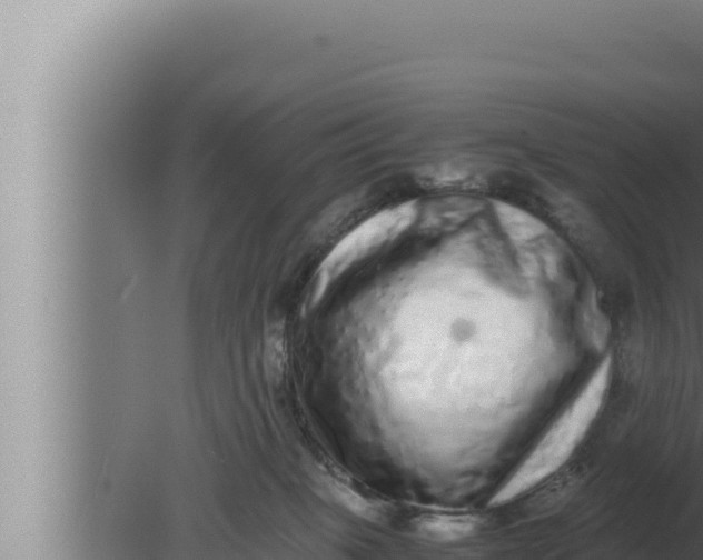 X0000080110085200612221816