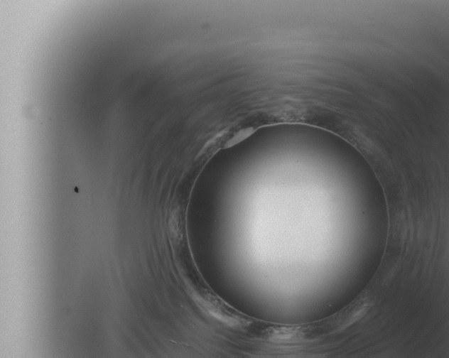 X0000080110088200612221816