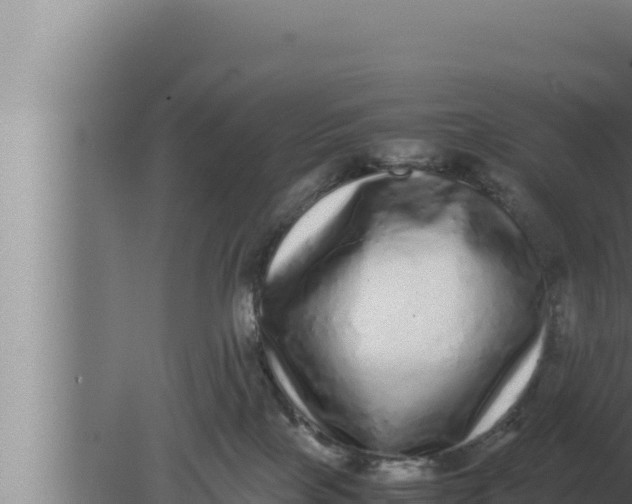 X0000080110089200612221816