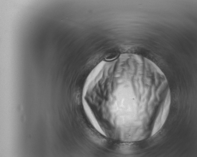 X0000080110090200612221816