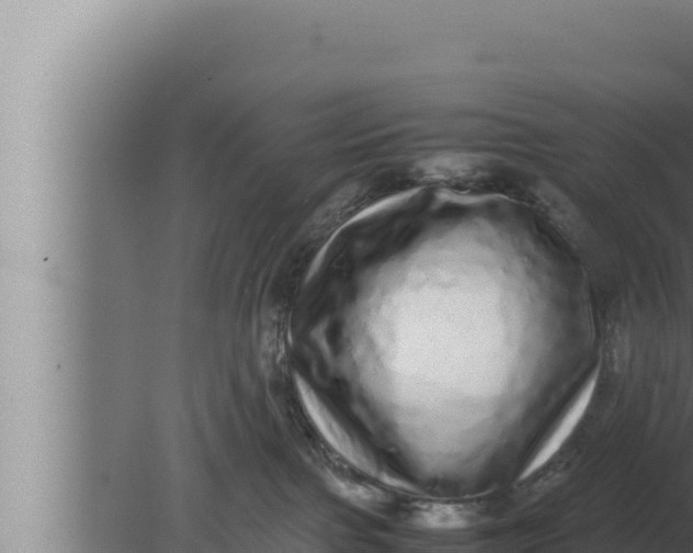 X0000080110091200612221816