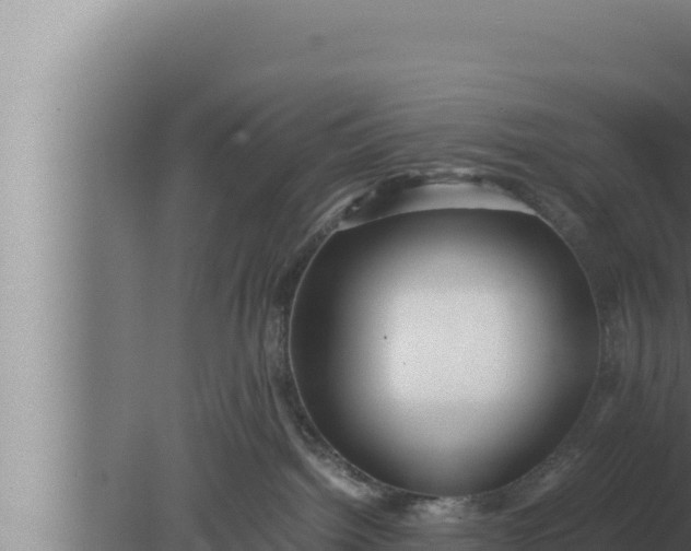 X0000080110092200612221816