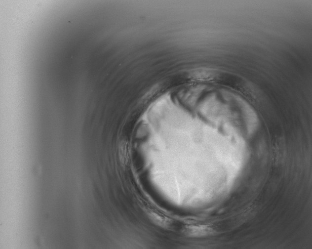 X0000080110093200612221816