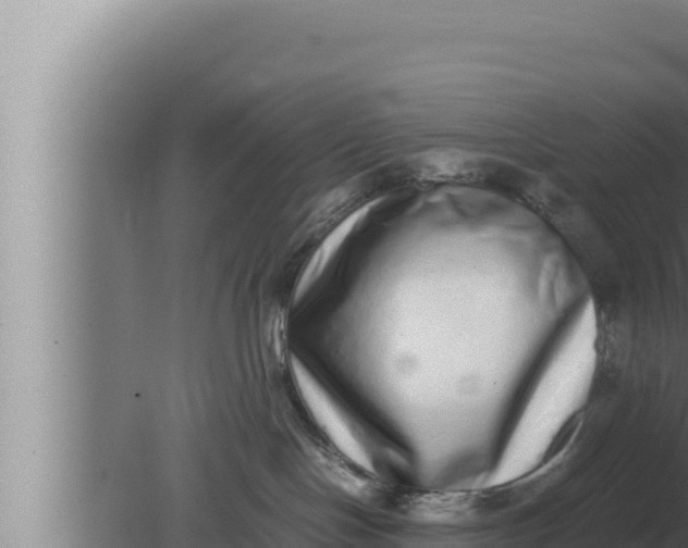 X0000080110094200612221816