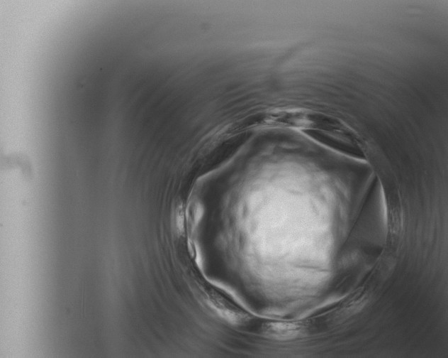 X0000080110095200612221816