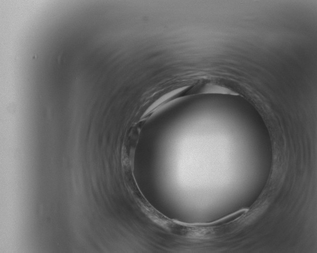 X0000080110096200612221816