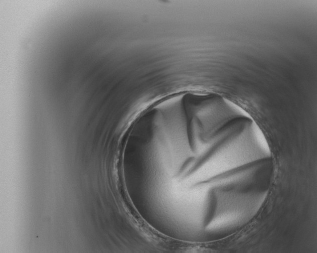 X0000080110098200612221815