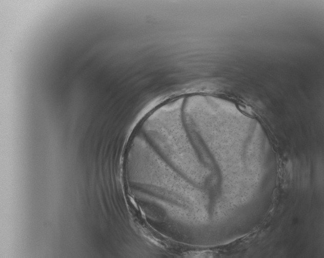 X0000080110100200612221815