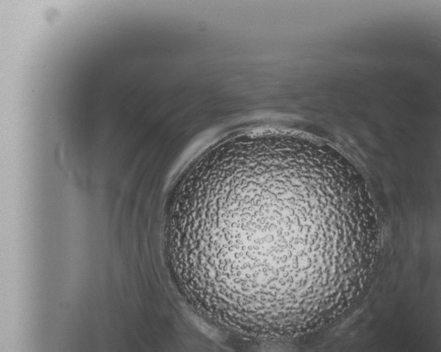 X0000080110101200612221815