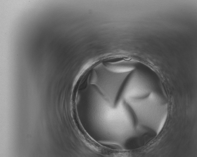 X0000080110102200612221815