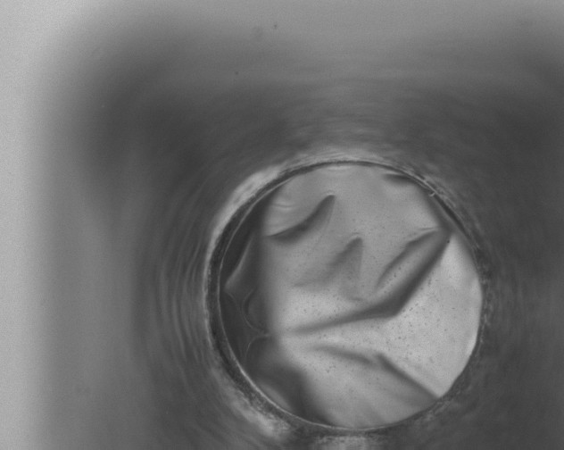 X0000080110104200612221815