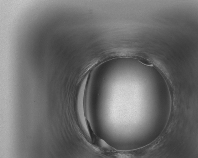 X0000080110105200612221815