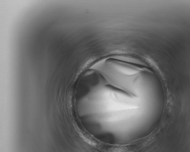 X0000080110106200612221815