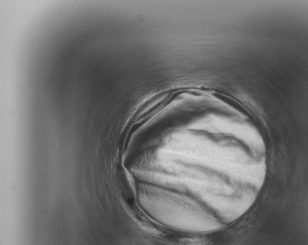 X0000080110107200612221815