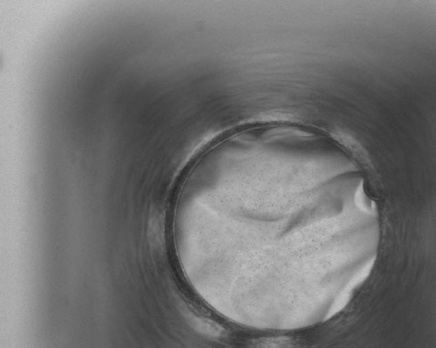 X0000080110108200612221815