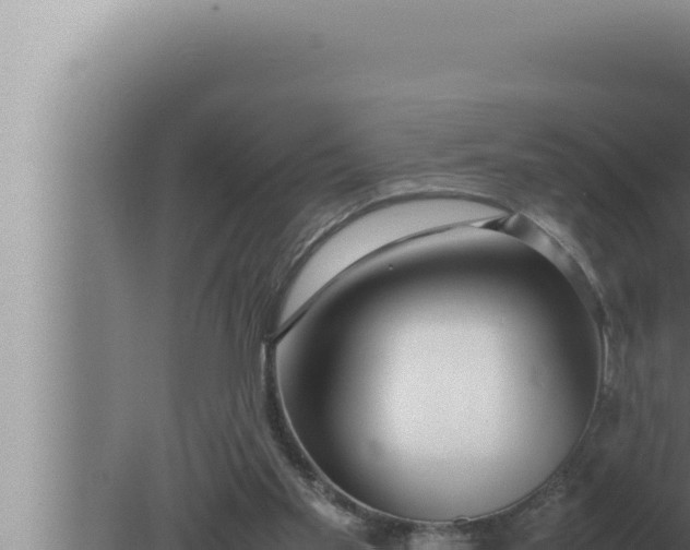 X0000080110109200612221815