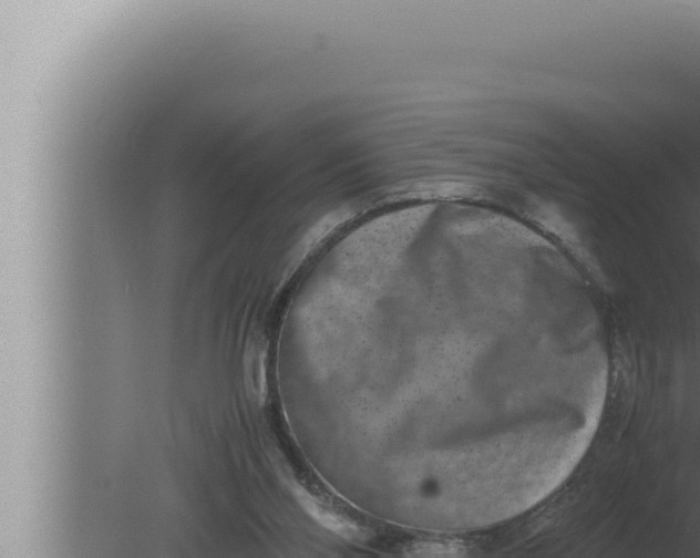 X0000080110110200612221815