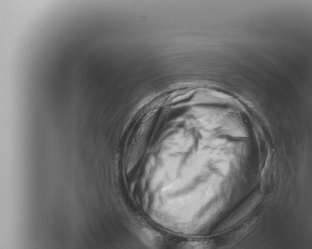 X0000080110111200612221815