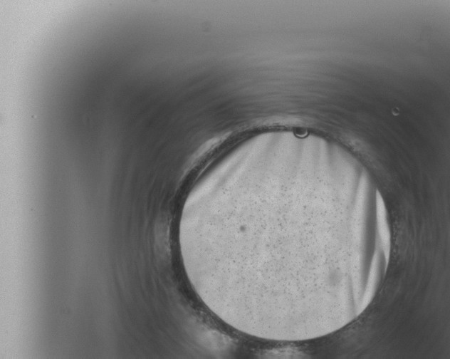 X0000080110112200612221815