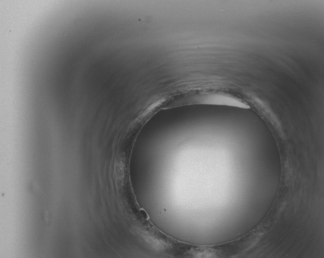 X0000080110113200612221815