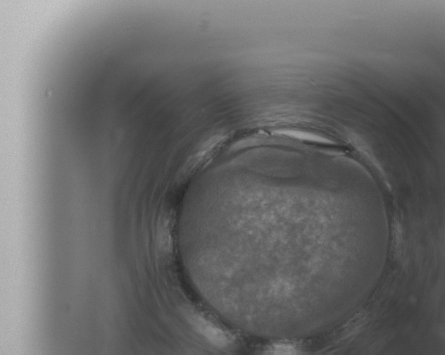 X0000080110114200612221815