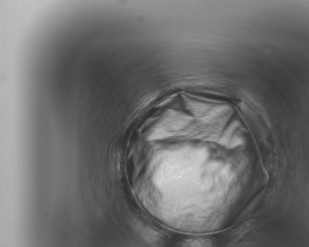 X0000080110115200612221815