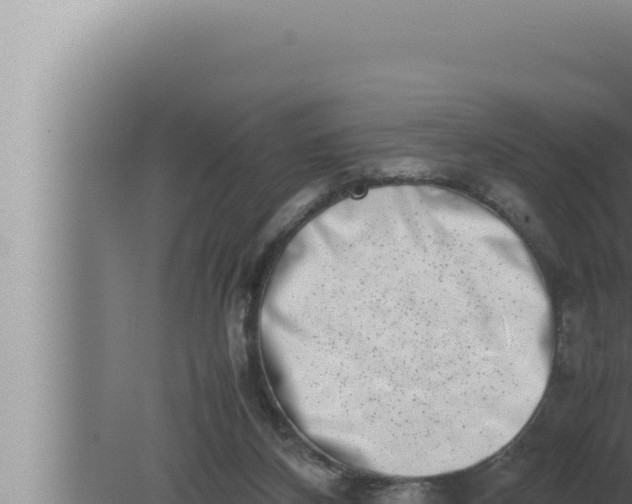 X0000080110116200612221815