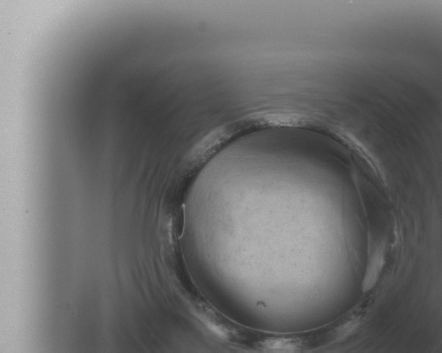 X0000080110117200612221815