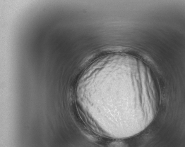 X0000080110119200612221815