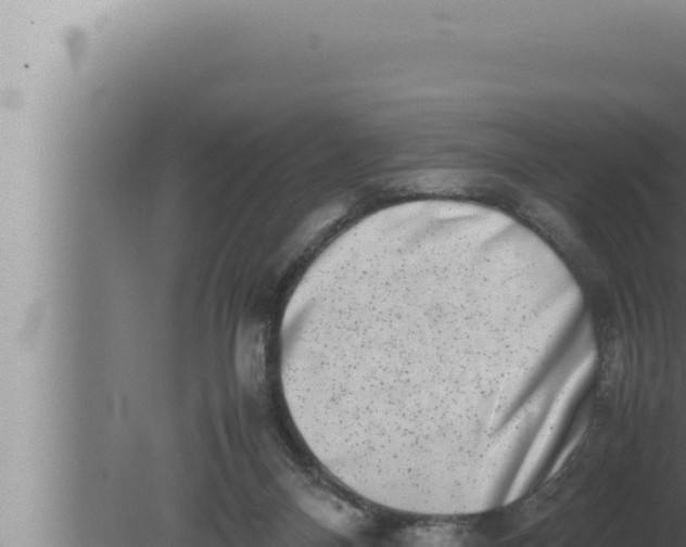 X0000080110120200612221815