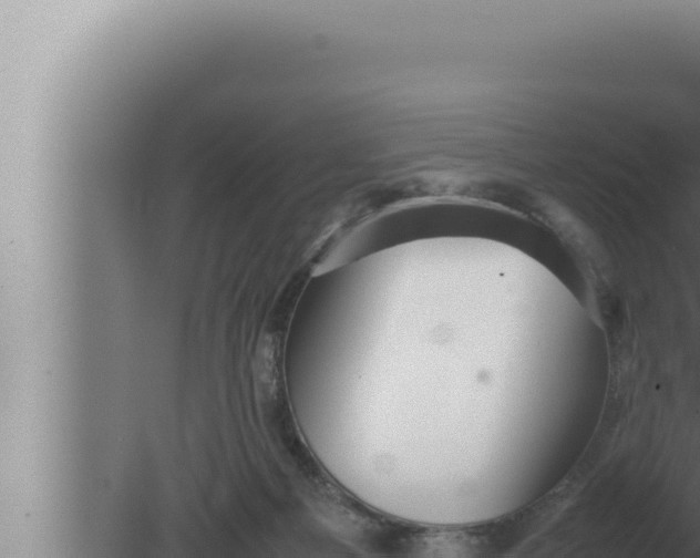 X0000080110121200612221815