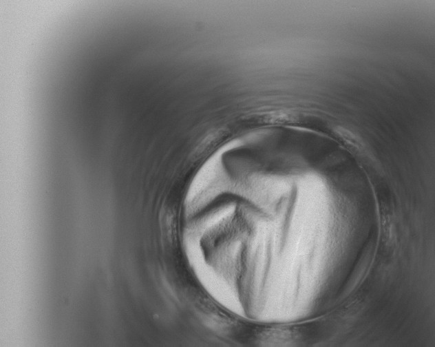 X0000080110123200612221815