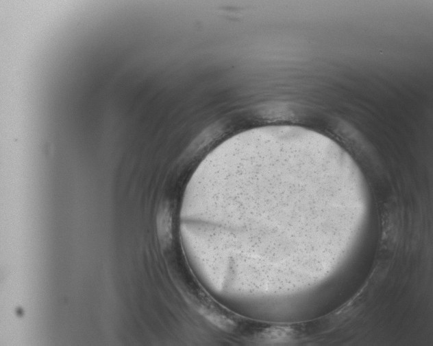 X0000080110124200612221815