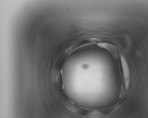 X0000080110125200612221815