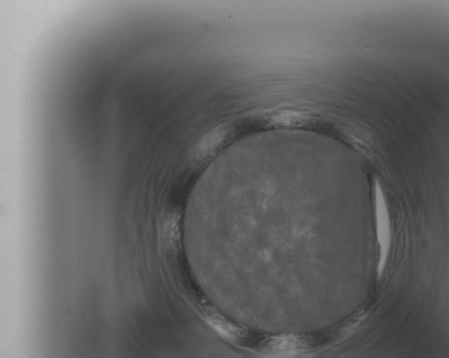 X0000080110127200612221815