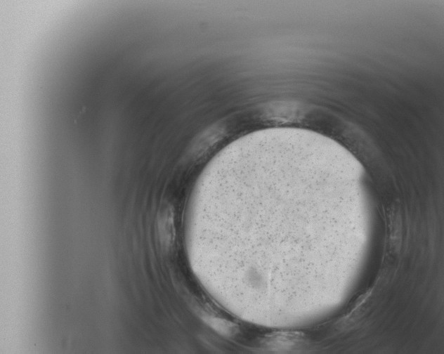 X0000080110128200612221814