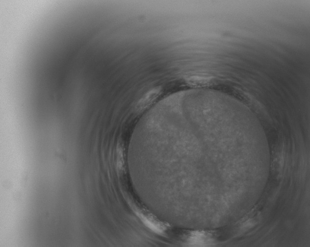 X0000080110130200612221814