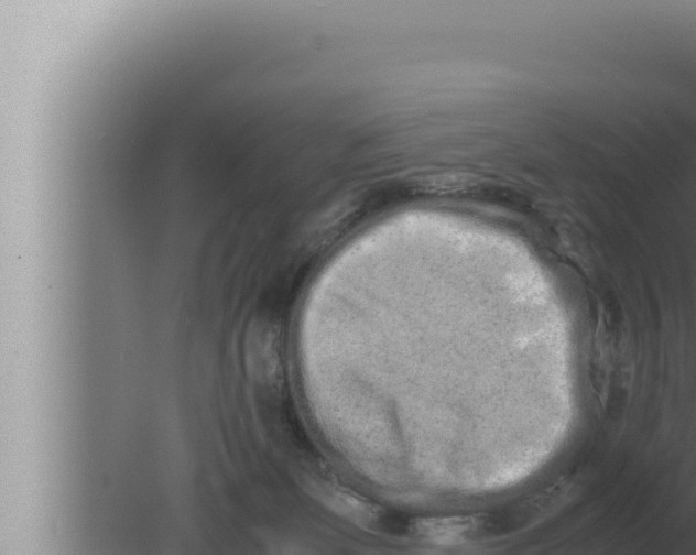 X0000080110131200612221814